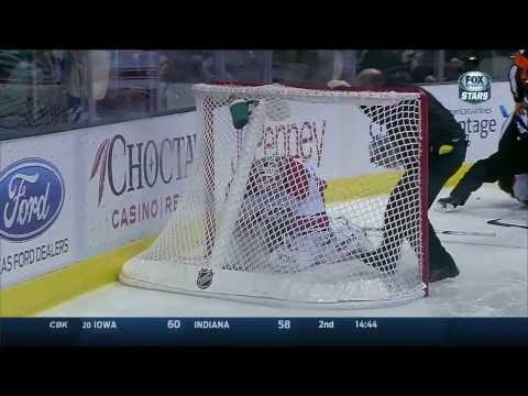 NHL Fights : Roussel vs Hainsey  (27.02.14)