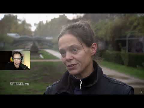 Hundekontrollen in Berlin: Ordnungsamt vs. Vierbeiner | MD7 React