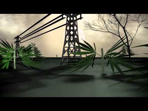 Elvis, Keuning Van De Bunermond Bert Hadders en de Nozems