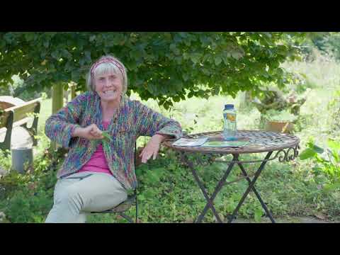 Bitterstoffe – Warum das „Bittere“ so gut für dich ist | Kräuterkunde mit Ruth Pfennighaus