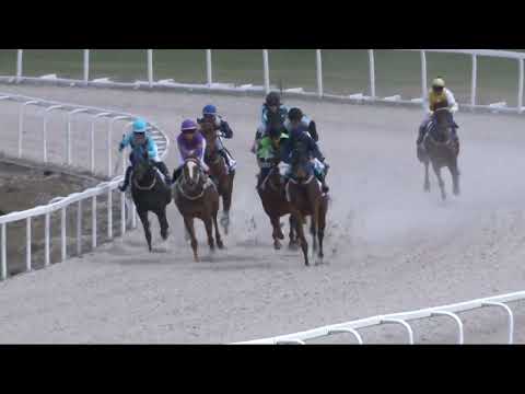 2022.04.17. 01. futam - HÚSVÉTI HENDIKEP (IV.o.) (szintetikus pálya