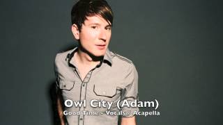 Owl City - Good Time (Studio Acapella)