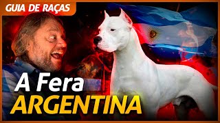 Miniatura do vídeo
