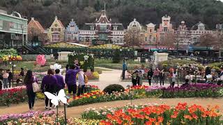 preview picture of video 'Visiting Everland in South Korea, The Seoul Searching!'