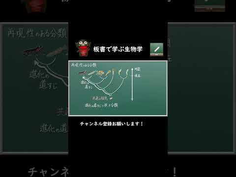 コノドンタ (系統分類)について詳しく解説