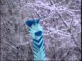 Baby Einstein Lullaby 1