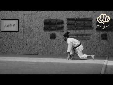 Shiho Kosokun [Shukokai] - Hary Randrianarisoa