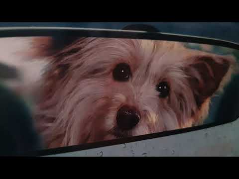 Nějak se vytrácíš, má lásko ( COVER) Pavel Doležal.