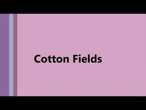 Cotton Fields  THE BEACH BOYS  (with lyrics)