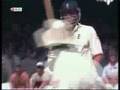 Ntini Breaks The Bat F Andrew Flintoff