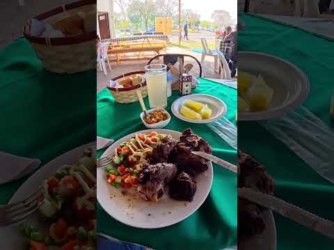 Fui a comer Shaslik a San Javier, Río Negro, Uruguay 🇺🇾  #cb300ftwister #honda