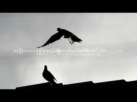 Di'Ja - My Baby | Zed Afro Remiix