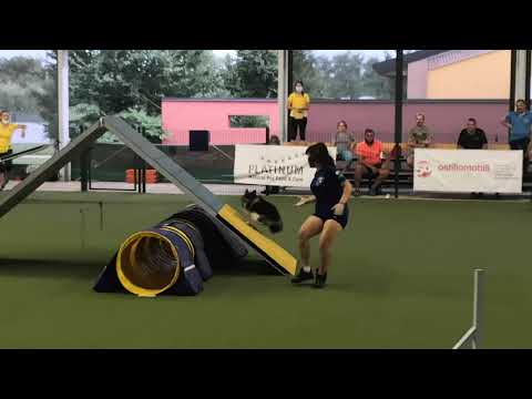 Ainhoa & Gea - CSEN agility under 18 300