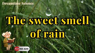 Discover the Secret of Rain's Scent