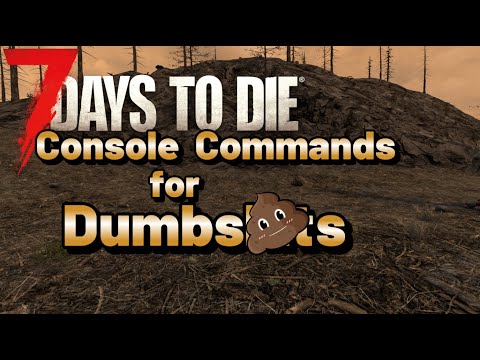 Being A Dik Console Commands