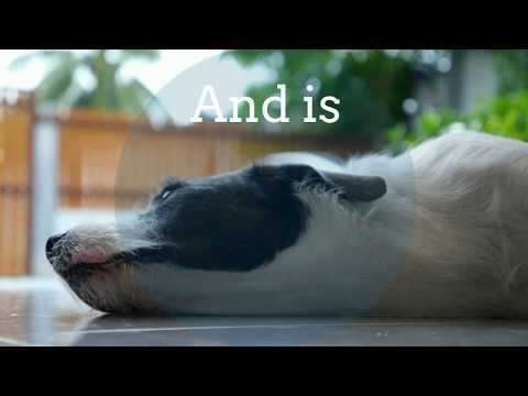 Inspired Perspectives video/presentation/materials