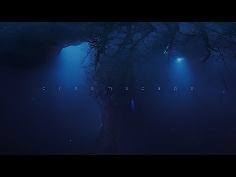 piedkies - back and fourth