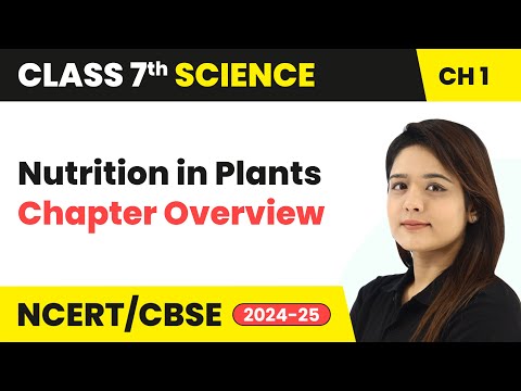 Class 7 Science Book Overview and Complete Strategy CBSE NCERT 2024 25