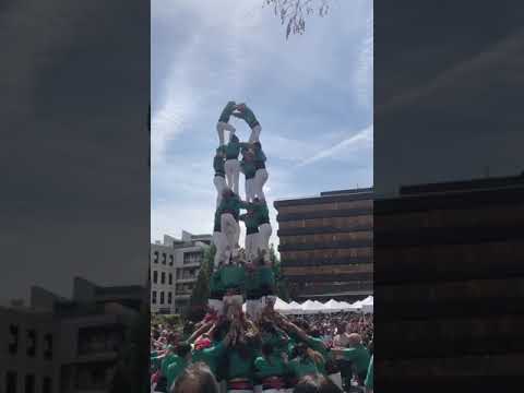 video-cover