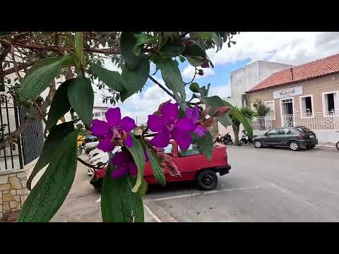 Centro de Aracatu Bahia 