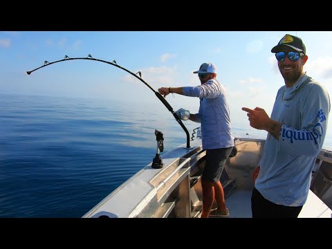 Florida Keys Wreck Fishing - Non-Stop Multi-Species!