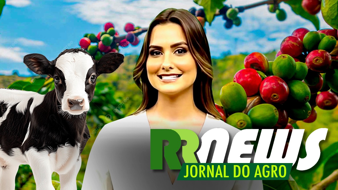 RRNEWS - O Jornal do Agro - 01/08/2026