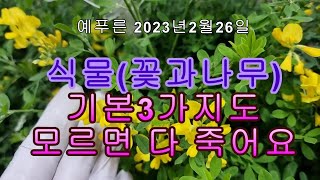 꽃과 나무 기본 3가지 모르면 다 죽어요