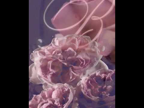 BLUMARINE F/W 2021_22 PRE-COLLECTION