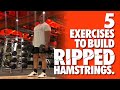 5 EXERCISES TO BUILD RIPPED HAMSTRINGS.