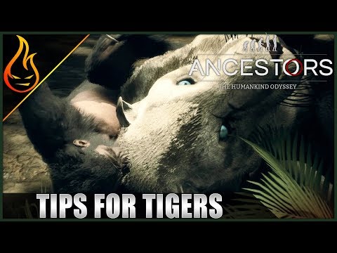 How To Deal With Tigers Ancestors The Humankind Odyssey