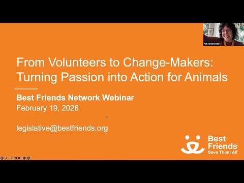 From Volunteers to Change-Makers: Turning Passion into Action for Animals