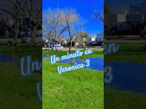 cómo lo haría una golondrina,  un minuto en Veronica #fabiansexplora