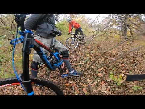 přátelé zeleného údolí