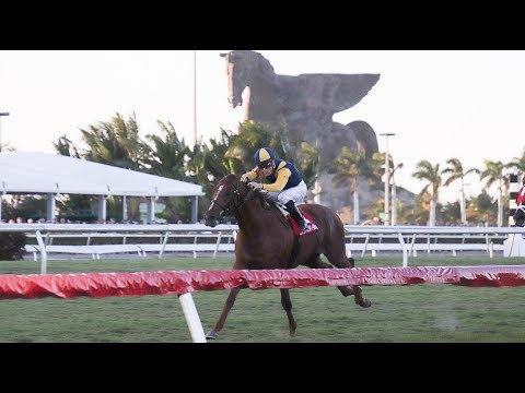 Gulfstream Park Carrera 13 (The 23rd Running of The Mac Diarmida) - 3 de Marzo 2018
