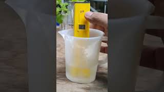 Download lagu CEK PH AIR NUTRISI #hidroponik #hidroponikjember #petanimelenial #nutrisihidroponik #nutrisi mp3 Download lagu CEK PH AIR NUTRISI #hidroponik #hidroponikjember #petanimelenial #nutrisihidroponik #nutrisi mp3