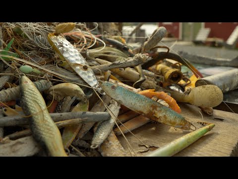 A dilemma in the protected marine area of Saltstraumen - Saltstraumen - Norway