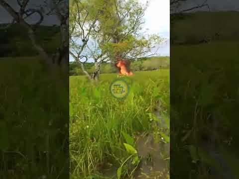 ¡TRAGEDIA EN RÍO SAN JUAN! 🚁 Piloto muere al caer helicóptero