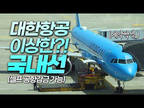 최악의 항공편 예약 실수: 김해-인천 내항기 완벽 가이드