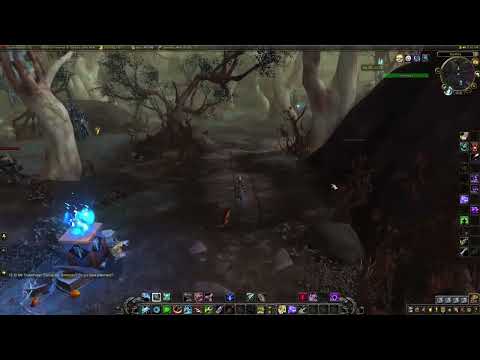 January 23, 2026 - Maelie the Wanderer - On Ledge Across Roots 38.4, 31.6