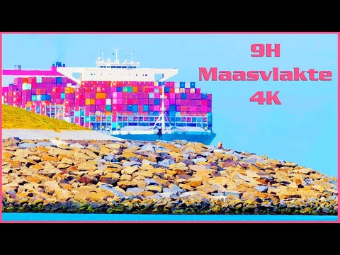 9 Hours - Huge Ships at Maasvlakte - Ship Spotting4K