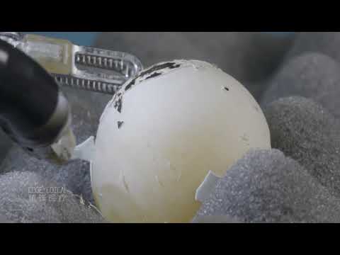 深圳市精锋医疗科技有限公司 &ndash; EdgeMedicalRobotics CO ,LTD
