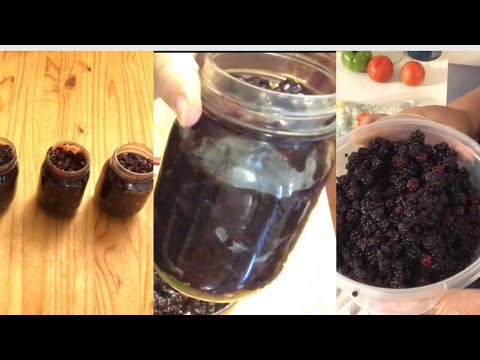 Blackberry Pie Filling