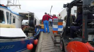 preview picture of video 'Port de Poulgoazec Plouhinec (29) retour de pêche 22avril 2013'