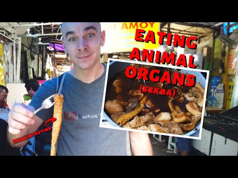 Exploring Glodok (Jakarta Chinatown) - WEIRD AND UNUSUAL FOODS!