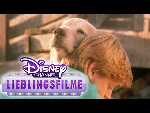 Zurück nach Hause - Eine unglaubliche Reise - Lieblingsfilm im DISNEY CHANNEL
