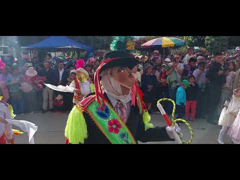 Negrillos de Talavera Andahuaylas 2025