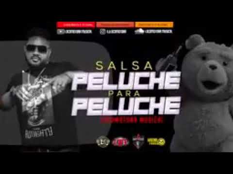 Dj locomotora musical salsa para los peluche