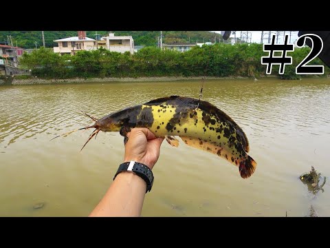 【#2】歩くナマズをぶっこんで大物魚を狙った結果…