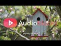 Free As A Brid - Brad Prevedoros, Neil Golden & Greg Joy l Audioblocks - Unlimited creation