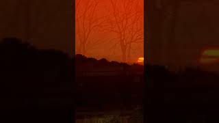 Randy Travis - My Greatest Fear. Black Dog.